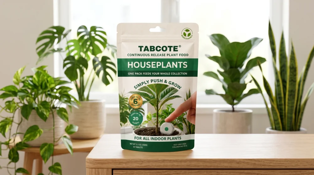 Houseplants